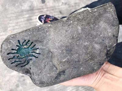 罗邵华日记-3.65公斤翡翠石，敞口：莫西沙，
简介：冰晴水，开窗，种老肉细干净，没裂没断【图1】