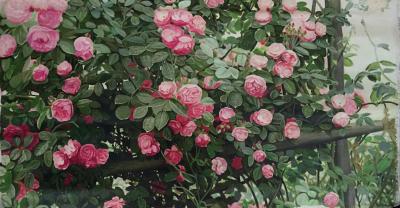 杨凌日记-杨凌 女 字莲语，墨言堂主人，大学学历，四川省都江堰市美术家协会会员，自幼酷爱绘【图7】