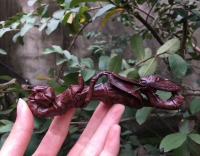 艺术家珍玩斋收藏:海黄紫油黎老料虎皮纹《一鸣惊人》笔架摆件
规格为13*3.【图3】