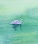 王征明日志-关于绘画动态的问题：画画仅仅处在简单的描摹（包括写生和默写）【图2】