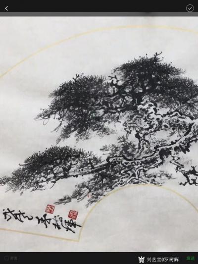 罗树辉日记-国画扇面《蛟龙出海》。新完成，分享与众好友。【图2】