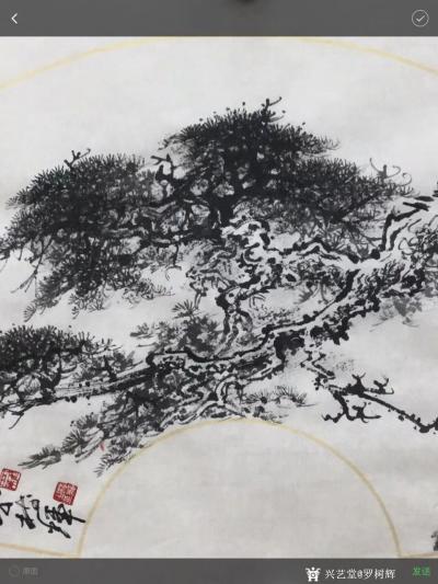 罗树辉日记-国画扇面《蛟龙出海》。新完成，分享与众好友。【图5】