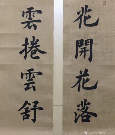 孙仲阳日记-楷书作品书友订件
宠辱不惊闲看庭前花开花落，去留无意漫随天外云卷云舒
尺寸：【图3】