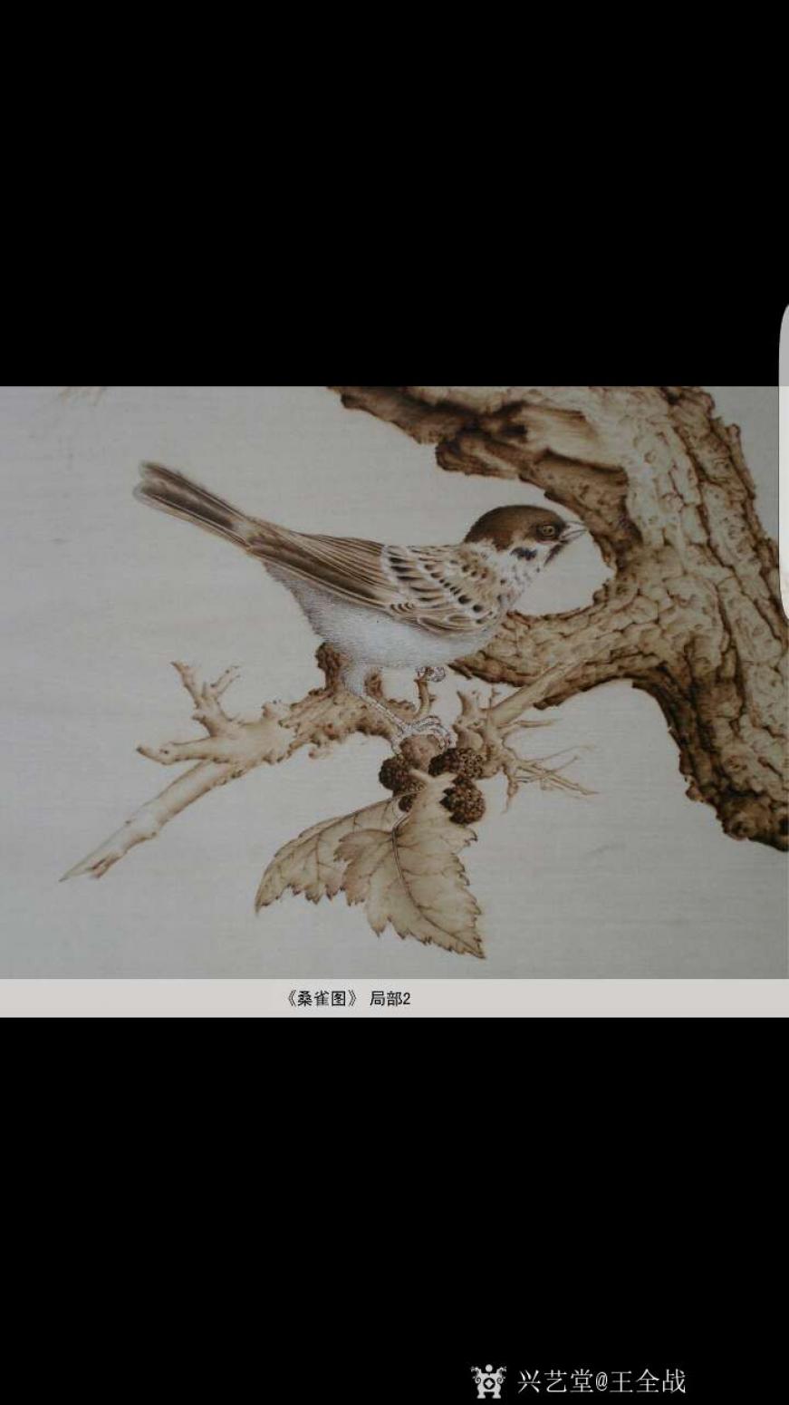 王全战国画作品《桑雀图》