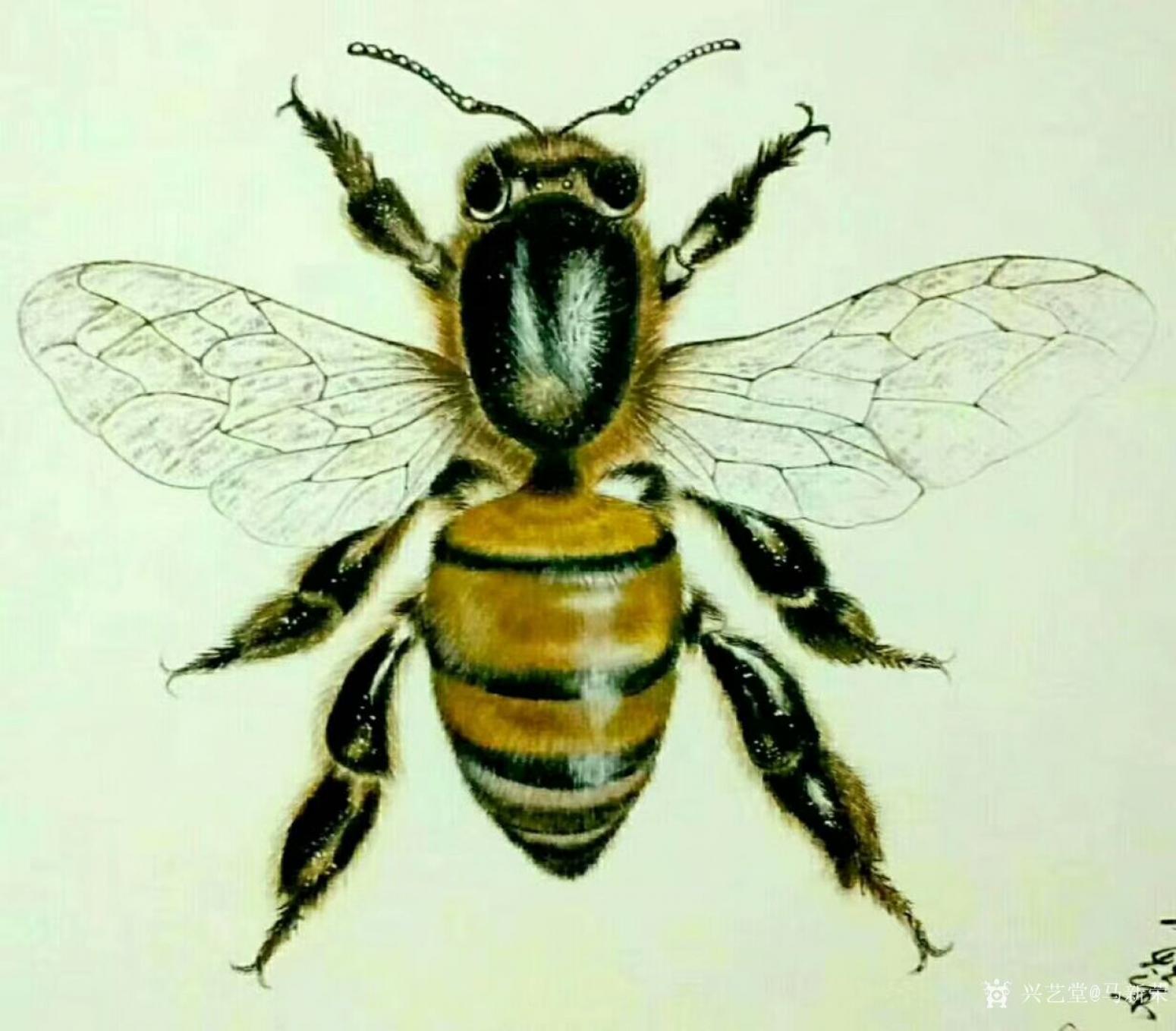 马新荣国画作品《蜜蜂》