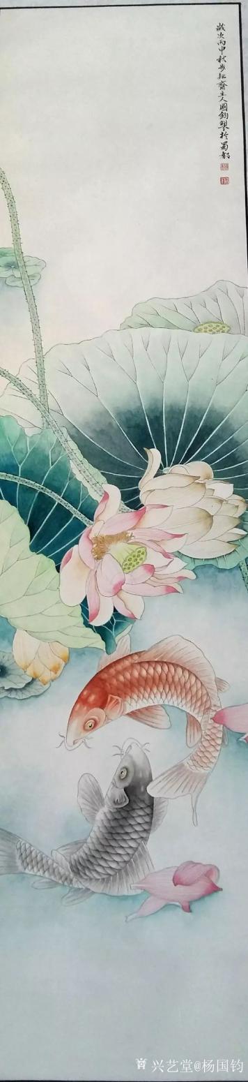 杨国钧国画作品《荷花鲤鱼》