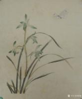 艺术家韩梅日记:仿宋花鸟小品，新近作品，尚未题款，喜欢的可订画
韩梅【图3】