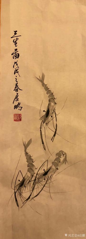 启鹏日记-国画新作虾《三生图》，寓意是三生有幸。
启鹏【图1】