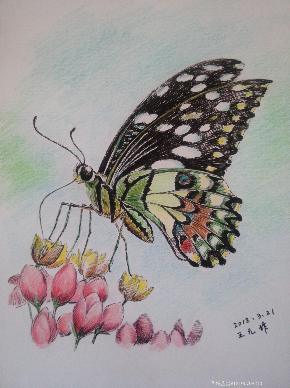 王元国画作品《钢笔画》【图1】