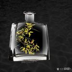 周牧天日志-来一啵【图4】