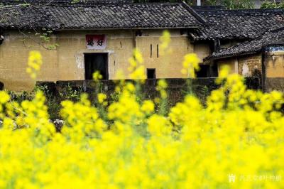 叶仲桥生活-今天下午到市美协副主席，美女画家童平珍家乡彩风考察，市美协国画艺委会成员写生创作【图5】