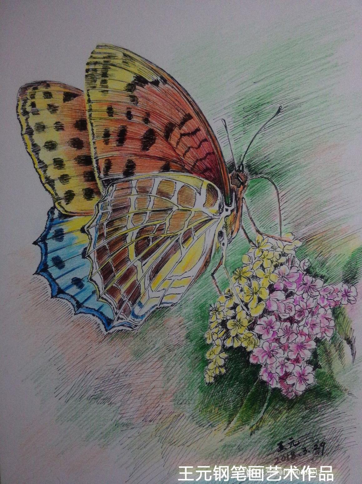 王元国画作品《钢笔画》