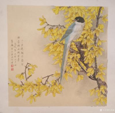 王嵩淼日记-千步连翘不染尘，降香懒画蛾眉春！【图1】