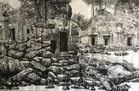 艺术家马培童日记:五，突破焦墨画“无人之境”
焦墨画对象往往以山水为主，花鸟【图0】