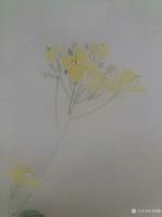 艺术家马晓薇日记:黄萼裳裳绿叶稠,千村欣卜榨新油.
爱他生计资民用,不是闲花【图4】