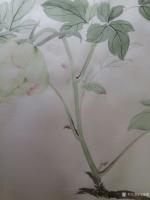 艺术家马晓薇日记:第一次画绿牡丹，与众好友分享。马晓薇作品【图3】