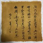 巴古宁日志-今日雨疏风骤，最宜写字读书【图1】