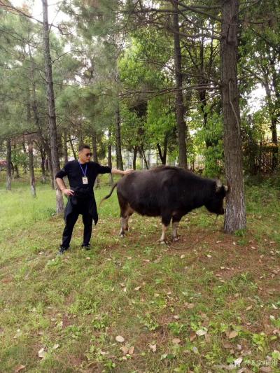 陈刚生活-徐州文友九华山文化之旅，留影。谢谢书画，诗词，音乐，企业和新闻界朋友一路同行。【图8】