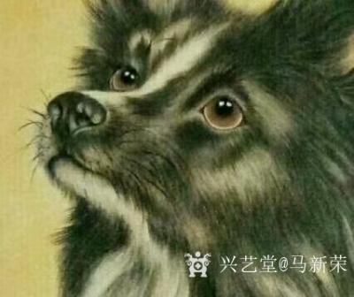 马新荣日记-动物画《旺财图》团扇作品，尺寸58*58，马新荣作品【图1】