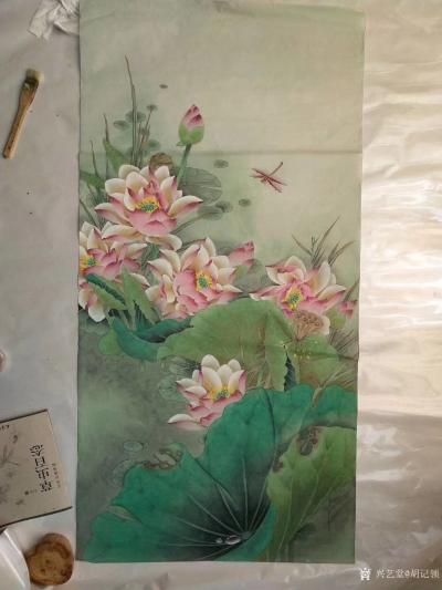 胡记领日记-荷花有四种象征意义。
一是象征清白。荷花花朵艳丽，清香远溢，碧叶翠盖，十分高雅【图1】