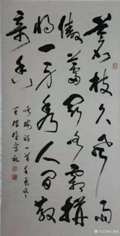 王根权荣誉-赏王根权先生书法
文／王云虎
如一枝梅花   林间绽放
迎风傲雪
又恰似【图1】