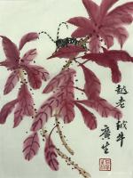 艺术家石广生日记:国画《越老越牛》
雁来红，是因为秋天大雁南来的时候开始变红【图0】