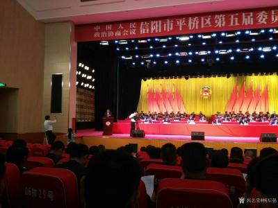 杨厚强生活-参加中国人民政治协商会议信阳市平桥区第五届委员会第二次会议，无论是会场纪律还是报【图3】