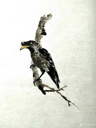 赵梅日记-国画动物～八哥
  墨分五彩，浓淡干湿各抒其韵！墨为大雅，写意八哥酣畅淋漓：一【图1】
