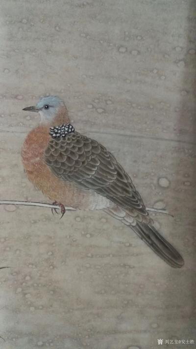 安士胜日记-正在绘制工笔花鸟扇面一幅，夜半春深意正浓，手太慢，效率太低，这样下去画好一张大画【图1】