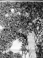 艺术家马培童日记:十二，汉画石刻皴，用笔的具体要求
    石刻皴，借石刻刀【图2】