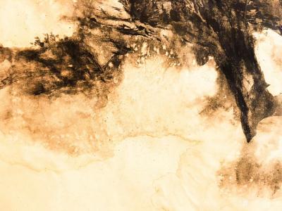 张近生日记-京 城 泼 墨 （整 图 分 割 ）
张近生国画【图2】