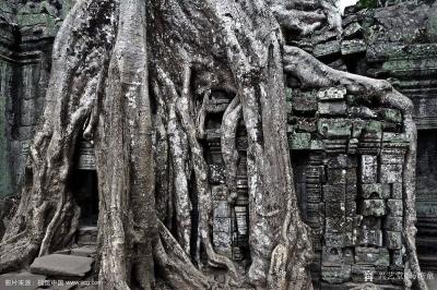 马培童日记-十三，焦墨雕吴哥，笔笔金石气。
  焦墨雕吴哥，笔笔金石气，金石气是中国艺术所【图3】