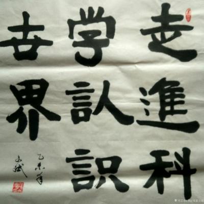 陈文斌日记-走进科学，认识世界！【图1】