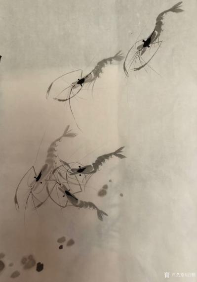 启鹏日记-国画《虾》，河虾也有成龙志，结伴成群出小塘！启鹏【图1】