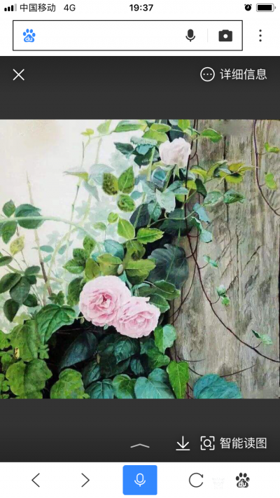 杨凌生活-偶然看到我的几张作品被百度收录了。【图5】