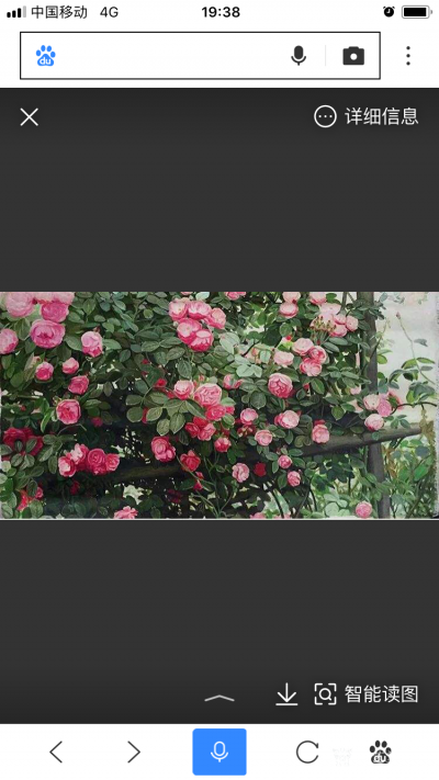 杨凌生活-偶然看到我的几张作品被百度收录了。【图6】