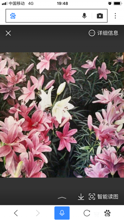 杨凌生活-偶然看到我的几张作品被百度收录了。【图8】