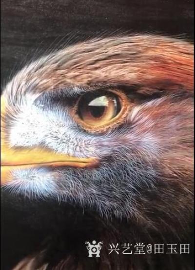 田玉田视频-<br>田玉田烙画创作视频--《鹰》
<iframe frameborder=【图1】