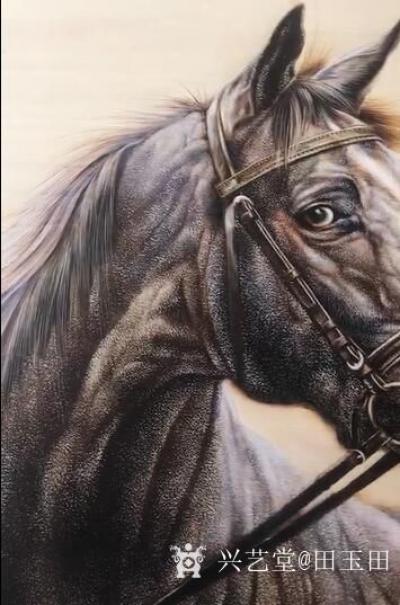 田玉田视频-<br>田玉田烙画视频--《马》1，敬请欣赏。
<iframe framebo【图1】