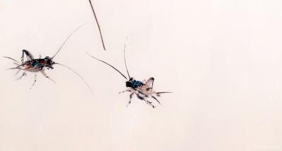 李亚南日记-李亚南书画【图2】