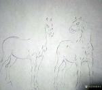 袁春宝日志-绘画，就是偷懒的上帝把他的最辛苦的工作，交给了我们这些一生痴【图3】