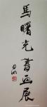 马曙光日志-名家題詞【图2】