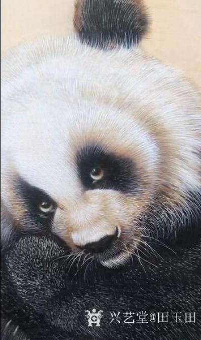 田玉田视频-<br>烙画视频田玉田作品《熊猫》，创作过程录影，敬请欣赏。
<iframe 【图1】