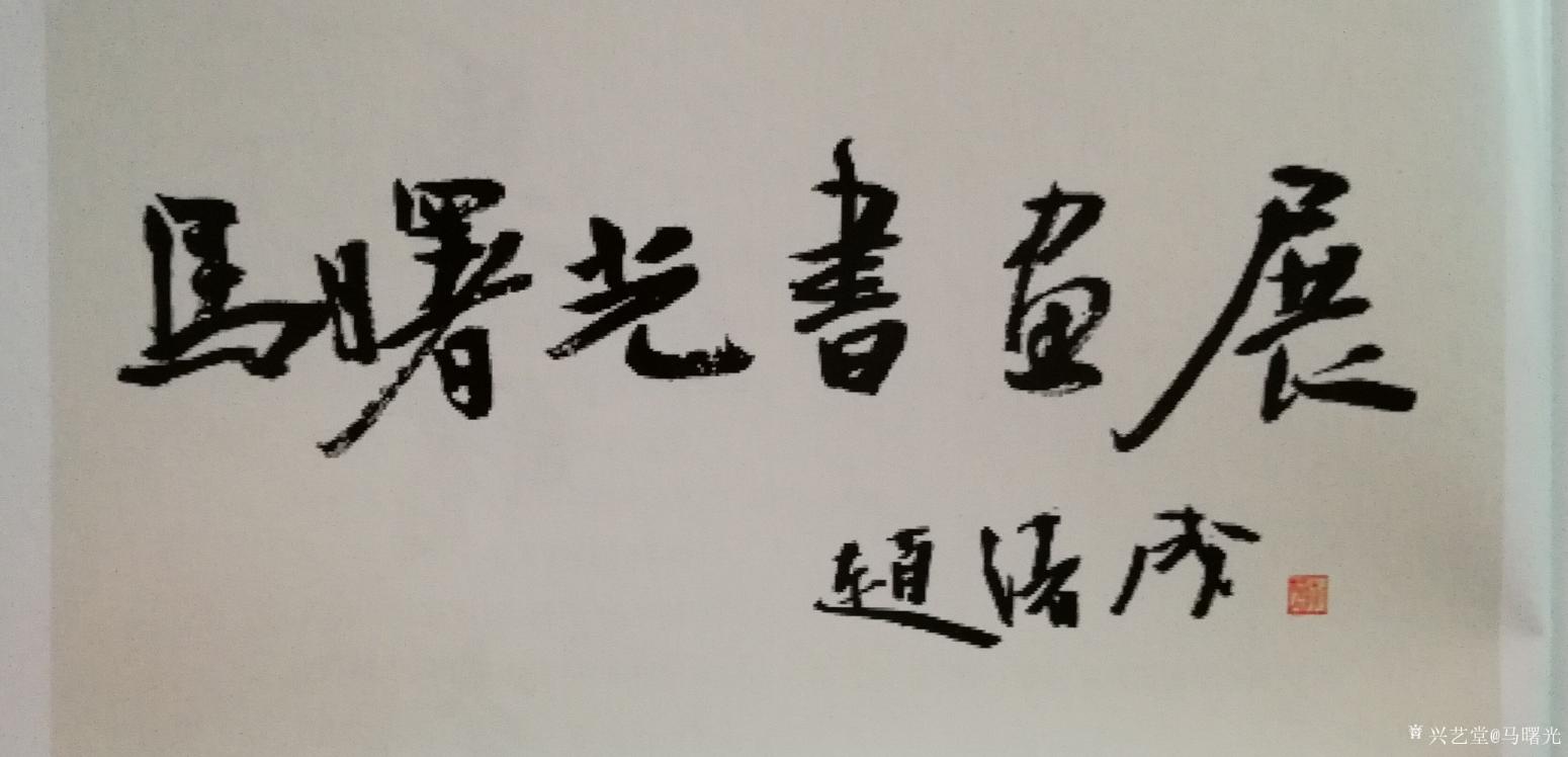 马曙光书法作品《家和万事兴》