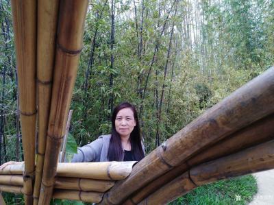 李青利生活-孔雀之恋十里红妆（2018.4）【图4】