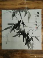 艺术家王三宝日记:三宝画竹，国画《竹报平安》《雅韵》《竹韵》尺寸60*60cm【图0】