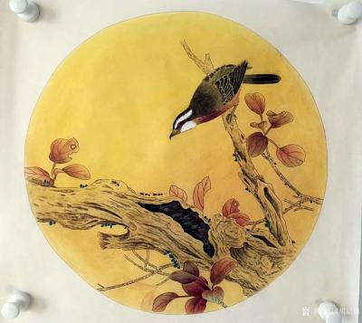 胡记领日记-发发周末努力的劳动成果，工笔花鸟画小品一组四幅。祝大家新的一周收获满满【图3】