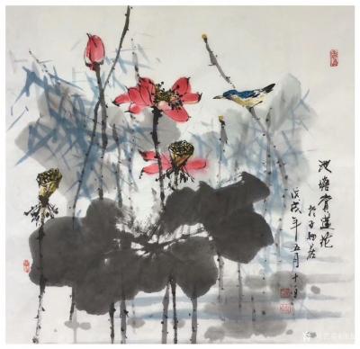 张健日记-国画花鸟画《池塘赏莲花》
人跟动物一样，看清楚的时候就应该有所应对措施和办法【图1】