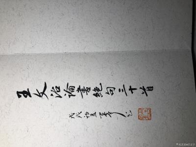 巴古宁日记-《王文治论诗绝句30首》册页。里面的诗句还没完全弄明白，先抄下来再好好研究……【图3】