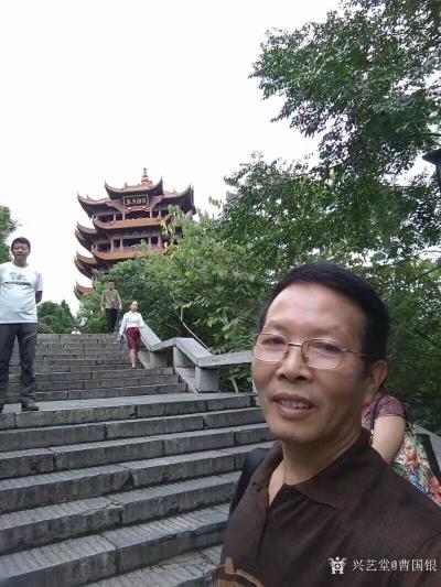 曹国银生活-黄鹤楼观光【图7】